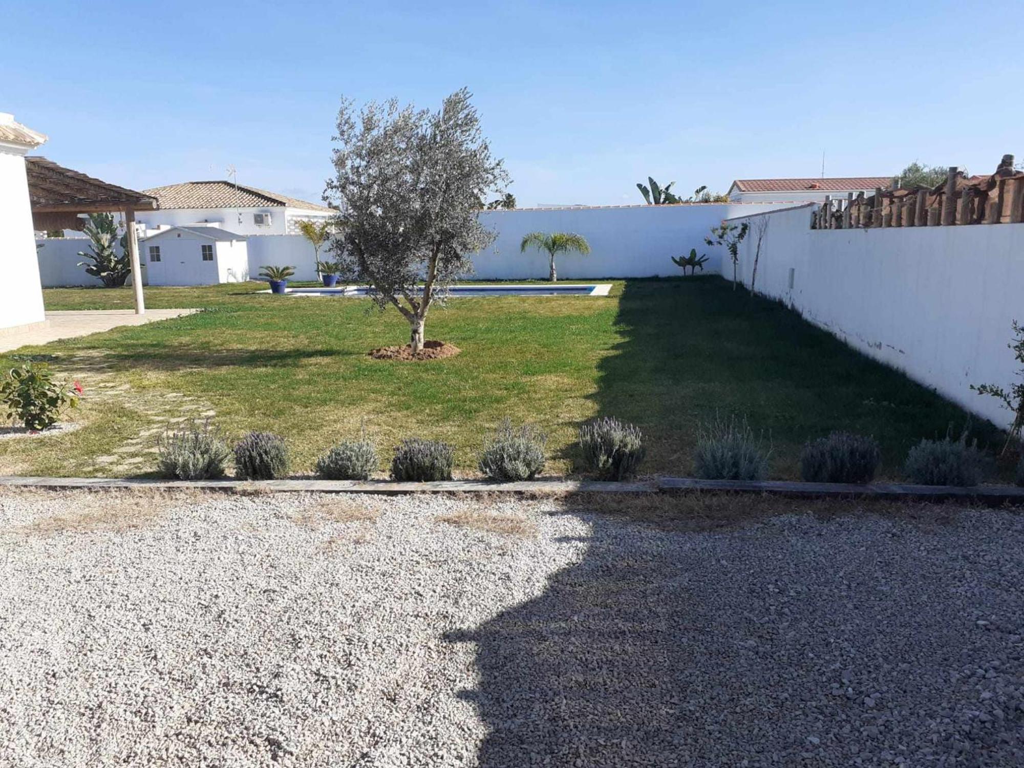 Las Casitas De La Barrosa Con Jardin Y Piscina Chiclana de la Frontera Phòng bức ảnh